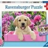 Ravensburger - Me And My Pal 2x24pc Jigsaw Puzzle -Trendy Toy Store RB05029 1