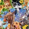 Ravensburger - Funny Farmyard Friends 200pc Jigsaw Puzzle