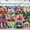 Ravensburger - Puppy Pals 500pc Jigsaw Puzzle -Trendy Toy Store RB14659 8