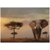Ravensburger Nature Edition | Elephant Of The Massai Mara Jigsaw Puzzle 1000pc -Trendy Toy Store RB15159 2